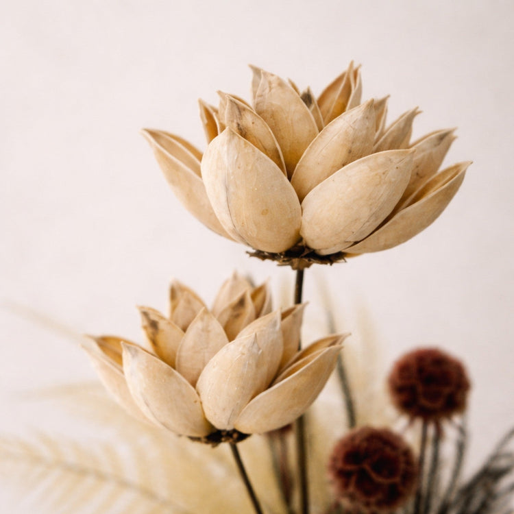 Luxury Dried Bouquets