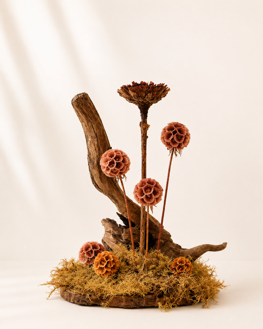Terra Balance sculptural dried flower arrangement by Terra Lucci handcrafted in Dubai